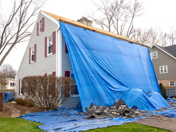 Best Shed Removal  in USA